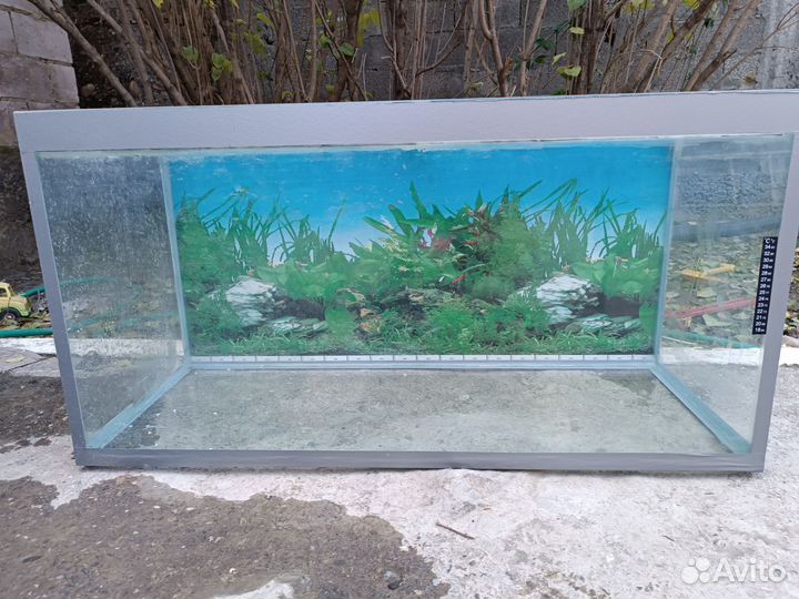 Аквариум