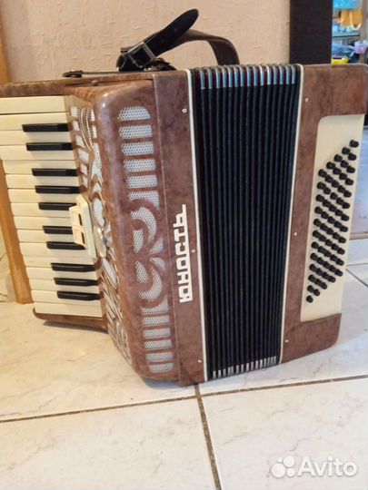 Аккордеон теза юность, 1/2