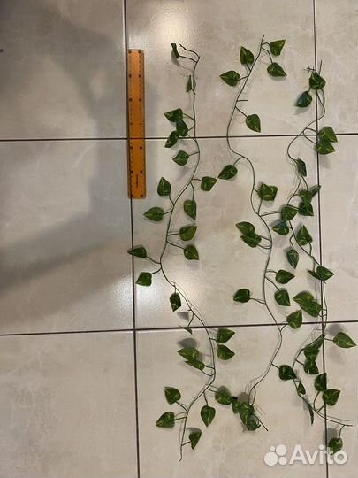 Лианы для декора комнаты