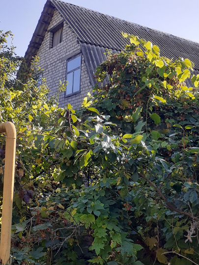 Дом 80 м² на участке 18 сот.