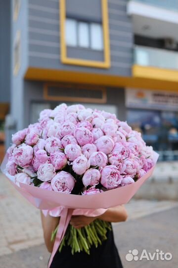 Пионы голландия розовые букет цветы доставка спб