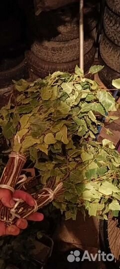 Веники для бани