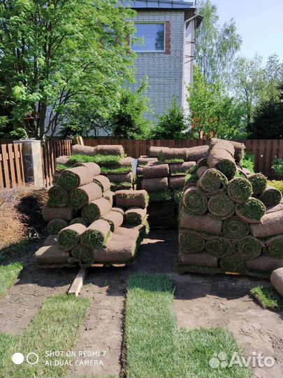 Рулонный Газон art/735