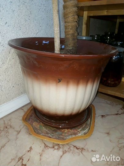 Большие керамические горшки