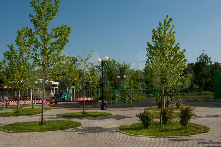 Участок 60 сот. (СНТ, ДНП)