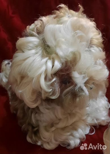 Мягкие игрушки из СССР. ГДР. 60х -70х гг