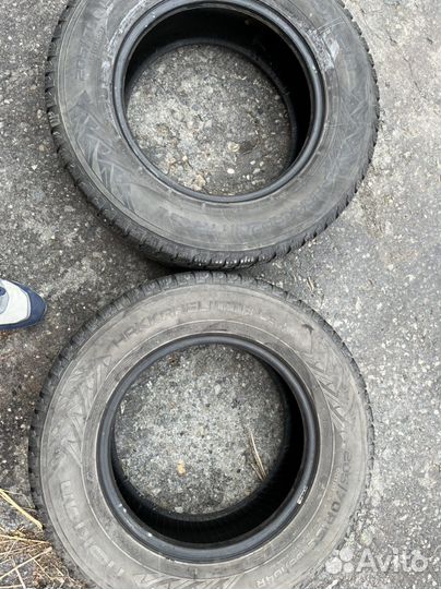 Nokian Tyres Hakkapeliitta 5 205/70 R15