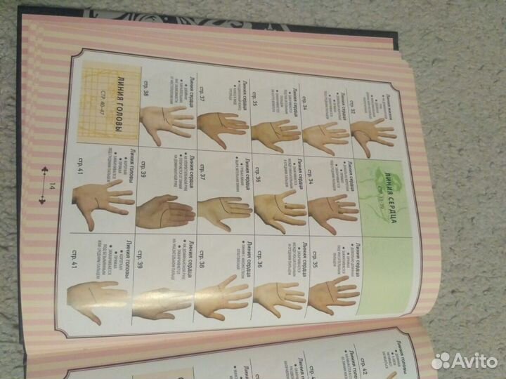 Хиромантия справочник Конева