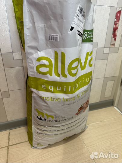 Сухой корм для собак с вкусом рыба ягнёнок