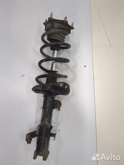 Амортизатор подвески Honda CR-V, 2007