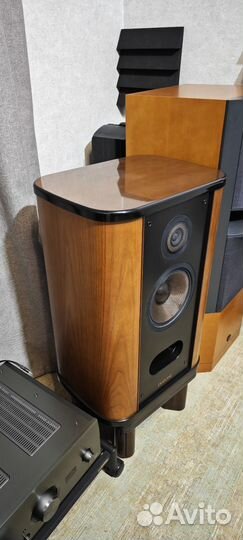 Diatone ds 205