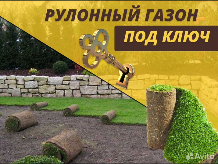 Рулонный газон доставка спортивный