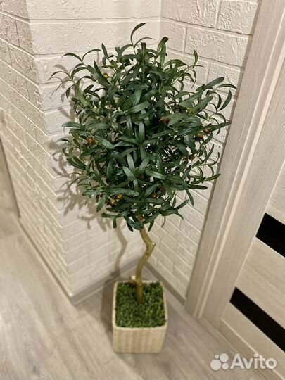 Олива дерево искусственное домой офис кафе