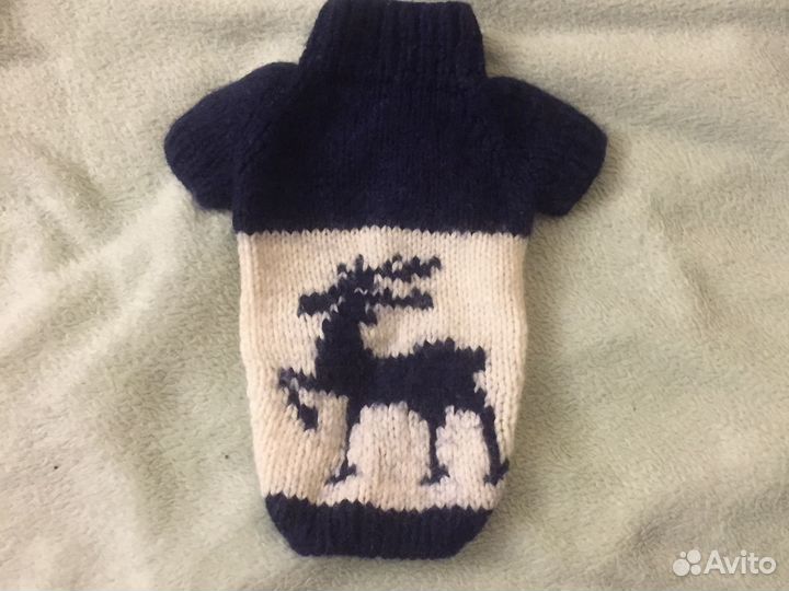 Одежда для собак домашняя