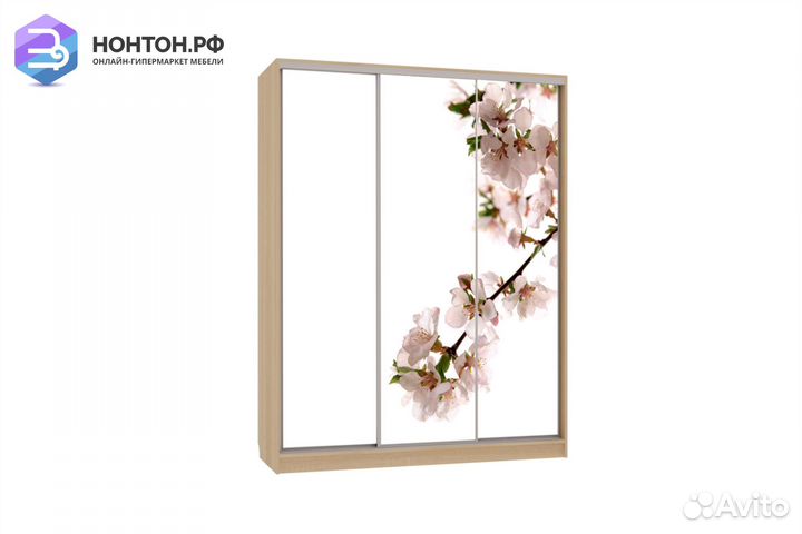 Шкаф-купе Бассо 7-600 яблоня дуб сонома