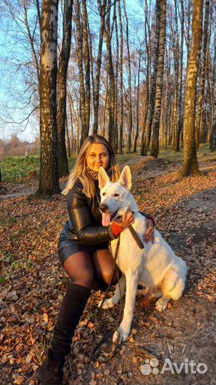 Фотосессия с собакой