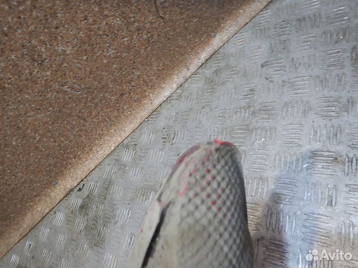 Фонарь задний противотуманный правый, KIA (Киа) -R