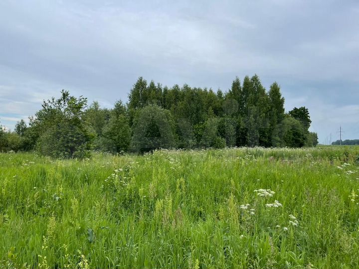 Участок 1,38 га (ИЖС)