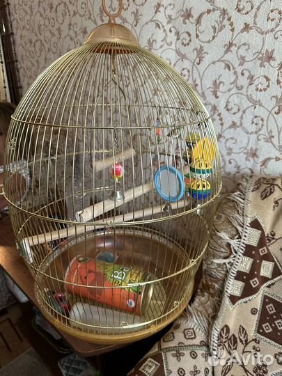 Клетка для попугая карелла