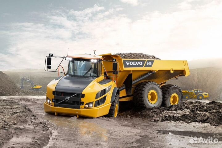 Бульдозерист