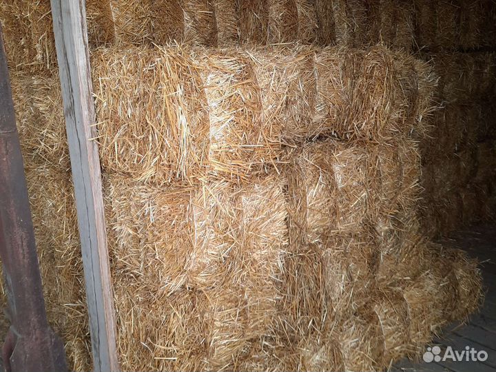 Сено, Солома в брикетах