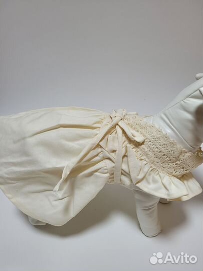 Одежда для собак