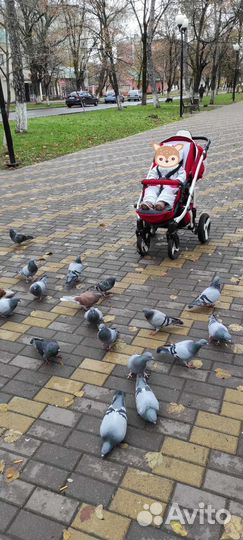 Коляска 2 в 1 прокат, продажа, аренда