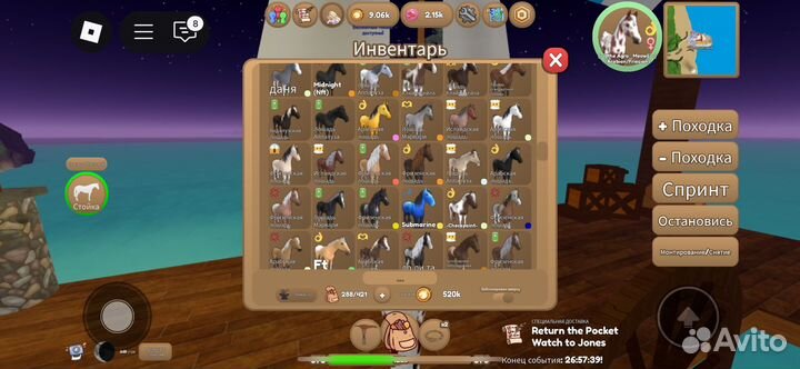 Острова диких лошадей