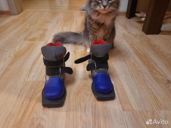 Лыжные ботинки