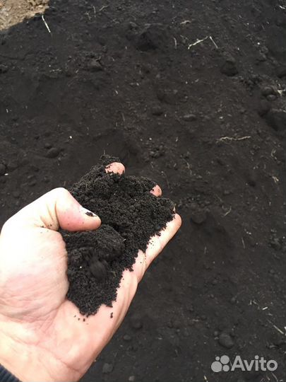 Земля чернозем