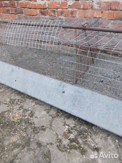 Большая клетка для птиц или кроликов