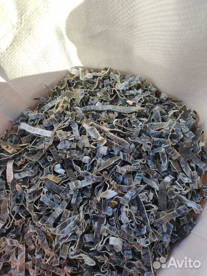 Морская капуста ламинария сушеная крупка, шинковка