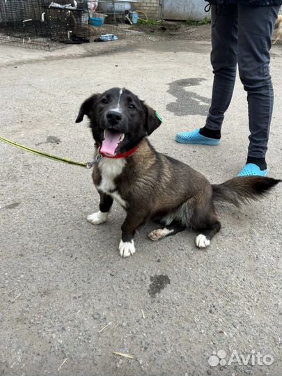 Веселый кабачок выпуск на улицу