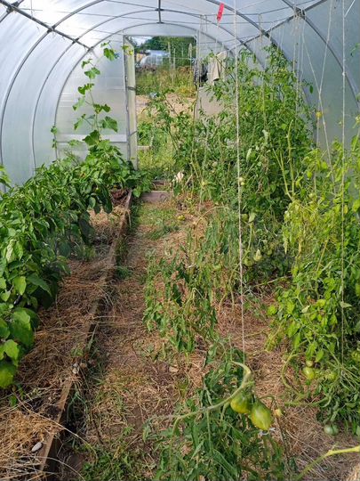 Дача 16 м² на участке 12 сот.