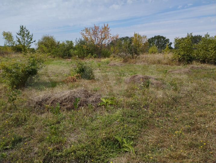 Участок 6 сот. (СНТ, ДНП)