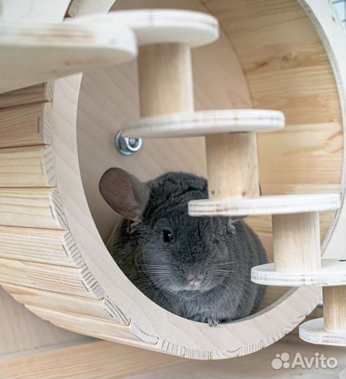 Клетка Витрина для шиншилл дегу хорька белок Р3