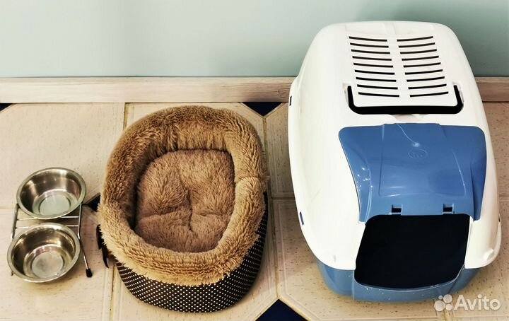 Комплект для комфортной жизни вашего кота/кошки