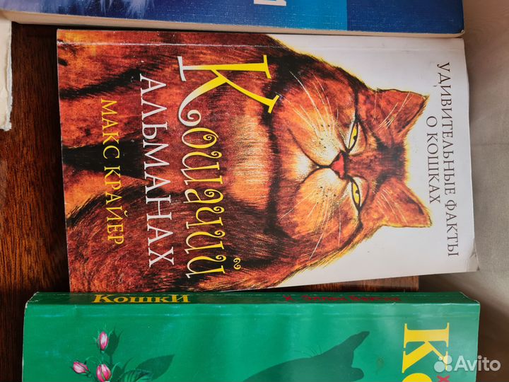 Книги о кошках(содержание,воспитание и т.д