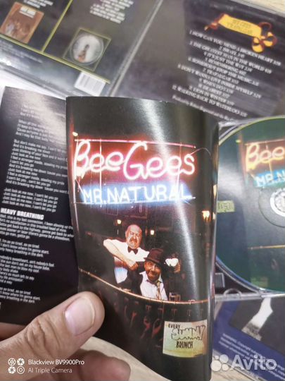 BEE gees коллекция