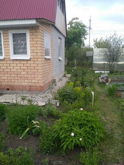 Дом 40 м² на участке 5,6 сот.