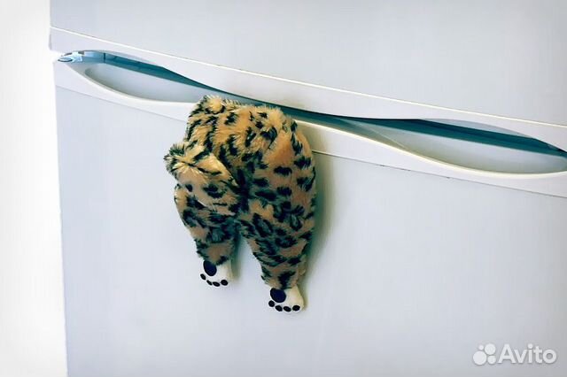 Магнит Застрявший кот в холодильнике