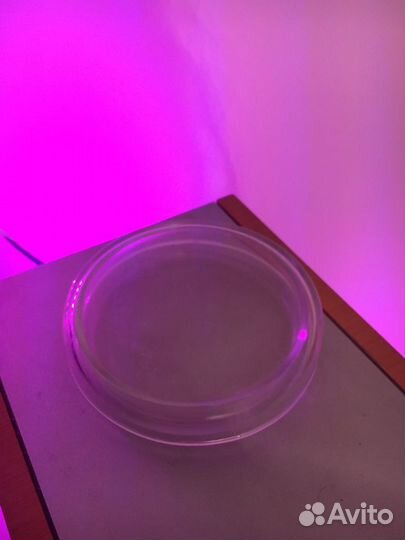 Чашки петри стеклянные