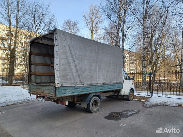 И газель и целиком