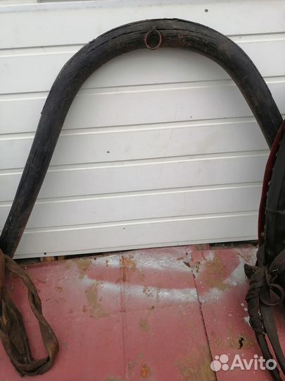 Сбруя для лошади