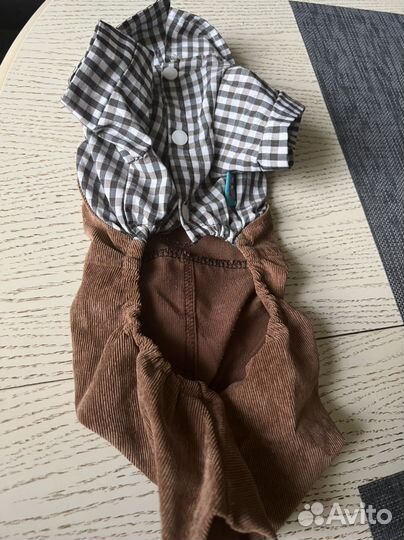 Костюм для животных мелких пород