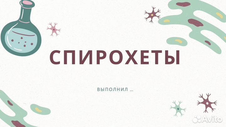 Создание презентаций на заказ