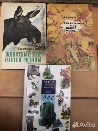 Книги пакетом
