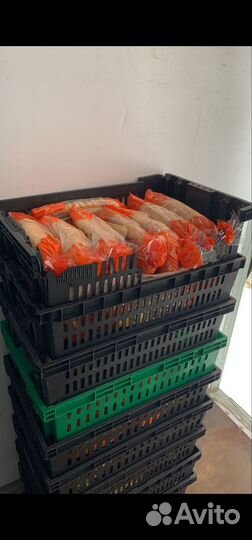 Корма для животных