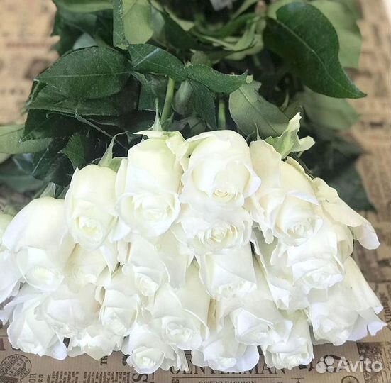 Метровые розы Доставка цветов