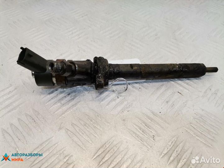 Форсунка Peugeot 307 рест. 2006 0445110259